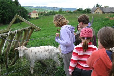 Vítejte na stránkách Základní školy a mateřské školy Nová Ves nad Popelkou